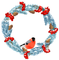 a winter wreath